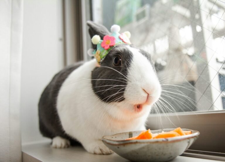 yona-dutchbunny-XdGXnqpBQF8-unsplash