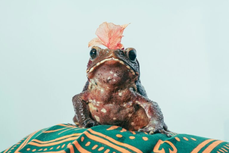 timothy-dykes-Z66JM_4wleU-unsplash