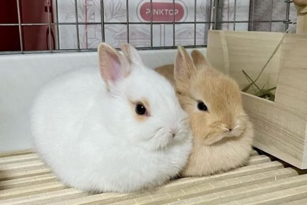 _ - 2025-11-13T234742.484