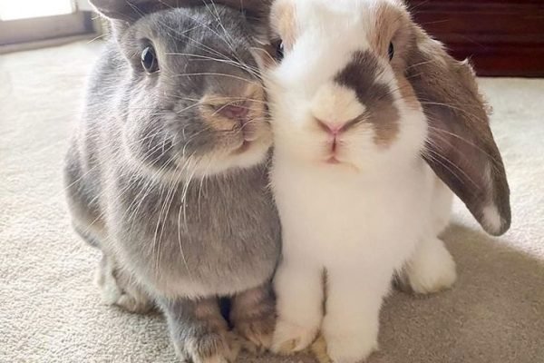 _ - 2025-11-19T232507.375