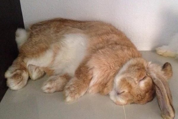 _ - 2025-11-19T232537.040