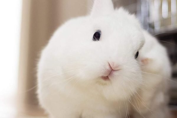 _ - 2025-11-20T000503.865