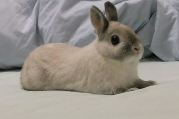 _ - 2025-11-22T232257.502