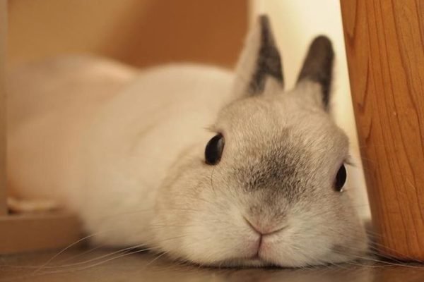 _ - 2025-11-22T234151.486