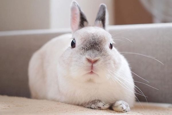 _ - 2025-11-22T234158.770