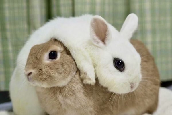 _ - 2025-11-23T000338.873