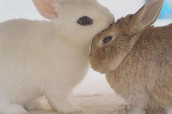 _ - 2025-11-23T000342.513