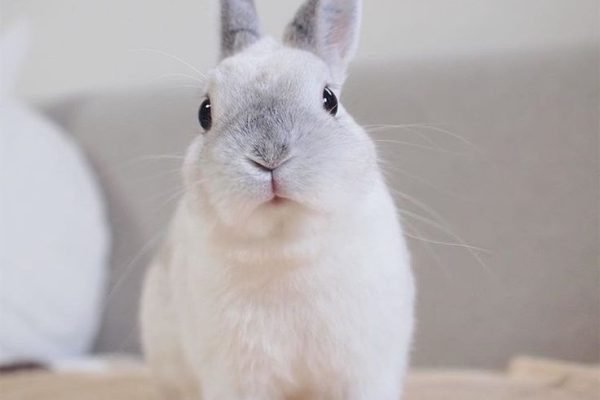 _ - 2025-11-23T225234.768