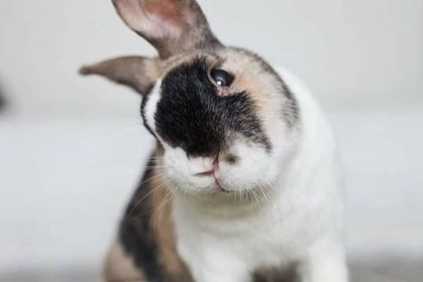 _ - 2025-11-23T225403.262