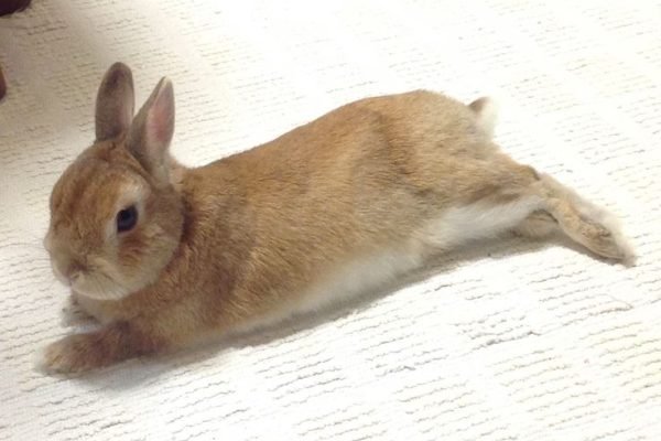 _ - 2025-11-25T234423.664