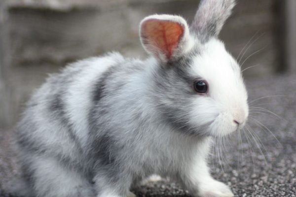 _ - 2025-11-26T230815.177