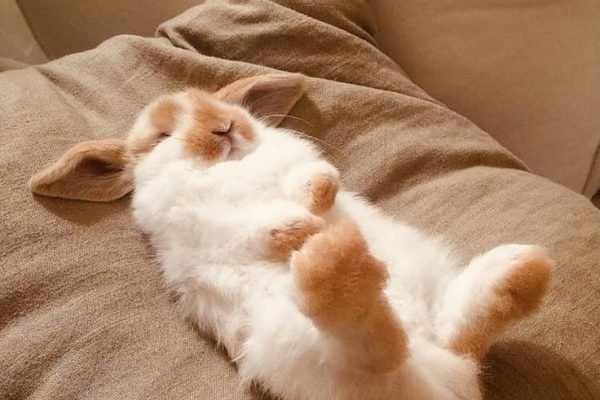 _ - 2025-11-29T003549.967