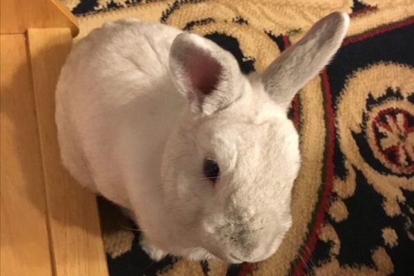 _ - 2025-11-30T000616.809