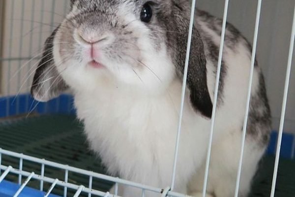 _ - 2025-11-30T104748.040