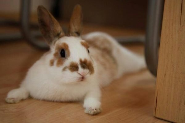 _ - 2025-11-30T110251.350