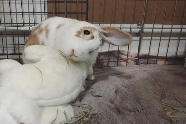 _ - 2025-11-30T110256.186