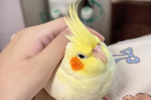 _ - 2025-11-30T230525.898