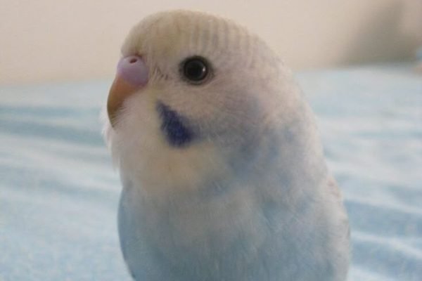 _ - 2025-11-30T230538.251