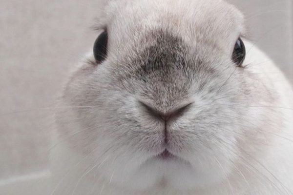 _ - 2025-12-02T233354.017