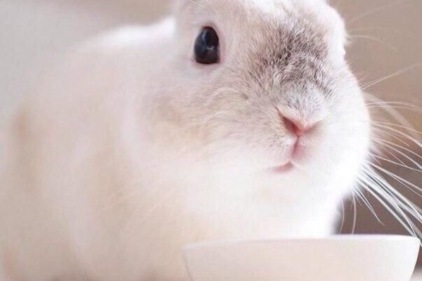 _ - 2025-12-06T231626.669