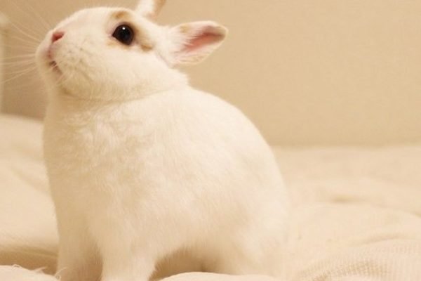 _ - 2025-12-06T231633.531