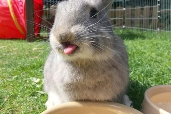 _ - 2025-12-08T233613.991