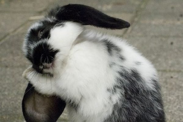 _ - 2025-12-09T233550.855