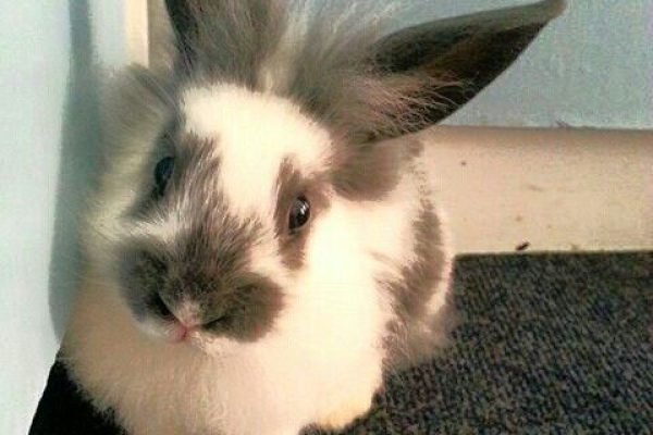 _ - 2025-12-09T233555.130