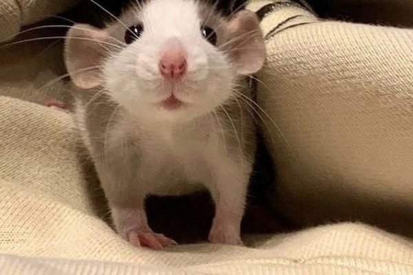 _ - 2025-12-13T163142.278