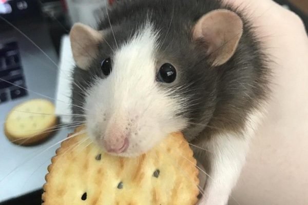 _ - 2025-12-13T163201.264