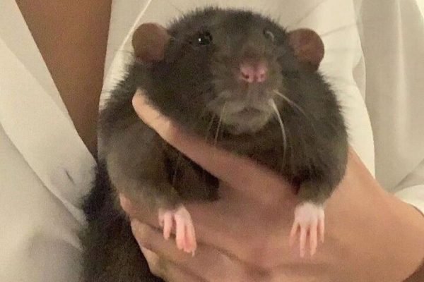 _ - 2025-12-13T164858.407