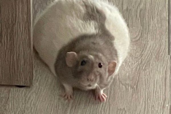 _ - 2025-12-13T164903.110