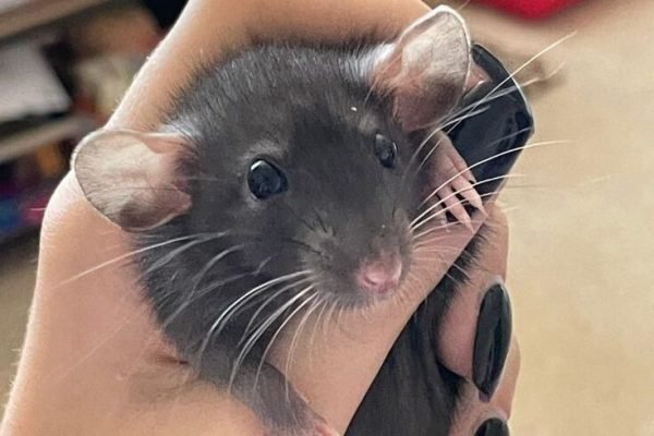 _ - 2025-12-13T171222.861