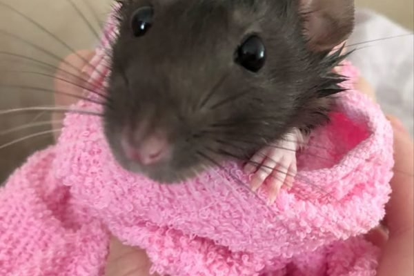 _ - 2025-12-13T171231.230