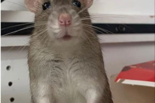 _ - 2025-12-13T173201.331