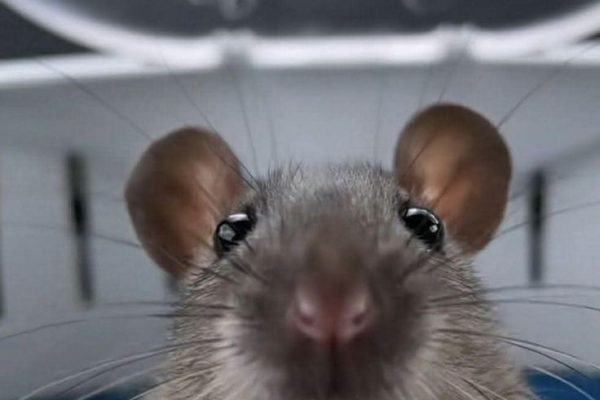 _ - 2025-12-13T173254.588