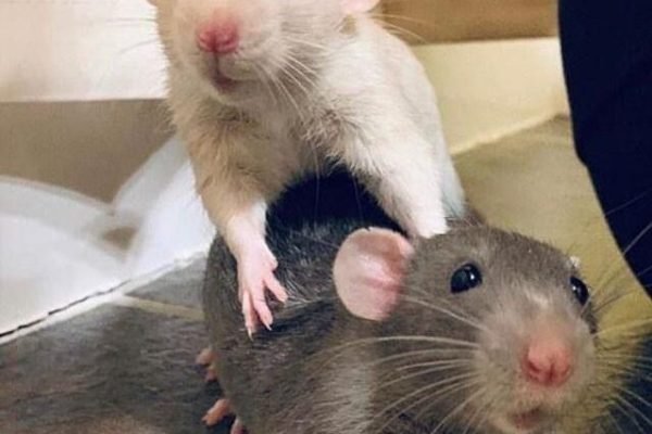 _ - 2025-12-13T174716.472