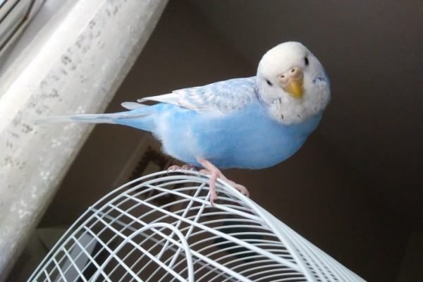 _ - 2025-12-15T231838.390