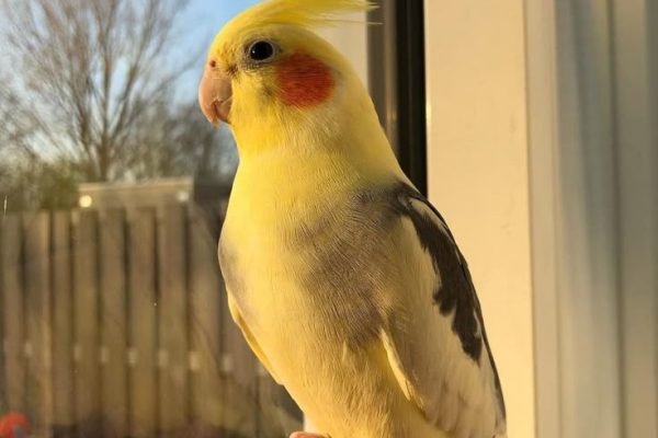 _ - 2025-12-16T235415.633