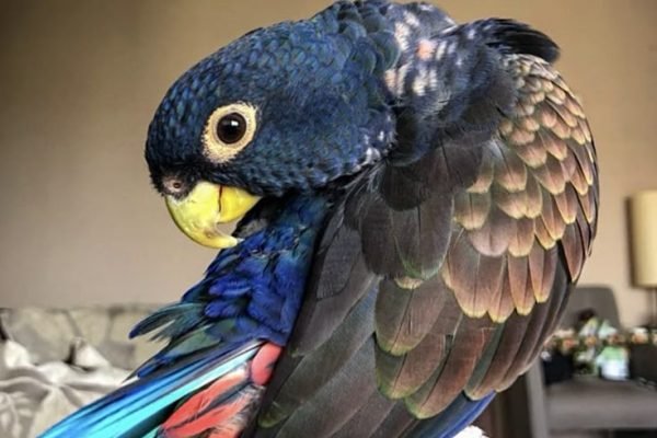 _ - 2025-12-21T130209.703