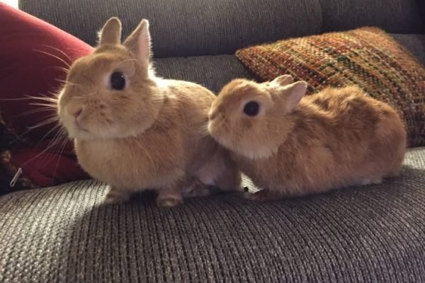 _ - 2025-12-22T233455.354