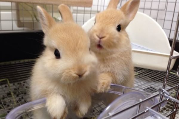 _ - 2025-12-22T233458.625