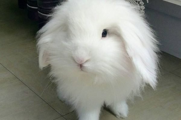 _ - 2025-12-25T135251.667