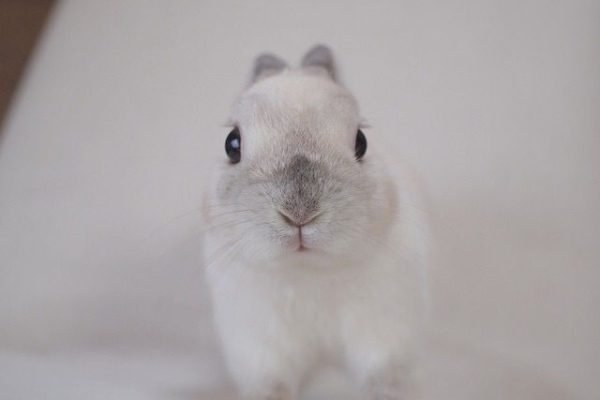 _ - 2025-12-25T190300.444