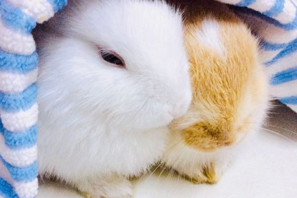 _ - 2025-12-25T190308.905