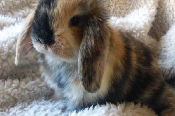 _ - 2025-12-26T125136.225