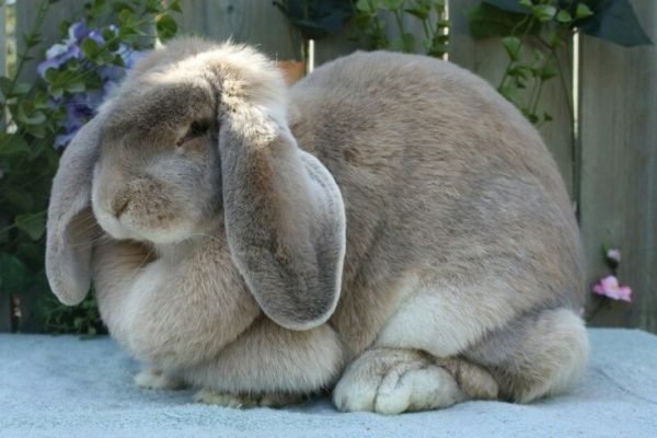 _ - 2025-12-26T125150.068