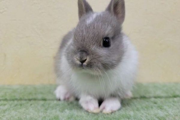 _ - 2025-12-26T130625.184