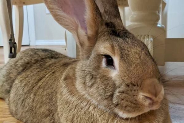 _ - 2025-12-26T133712.195