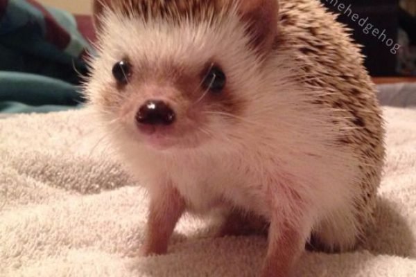 _ - 2025-12-27T101318.847